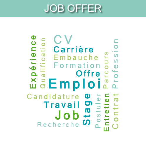 OFFRES D EMPLOI en
